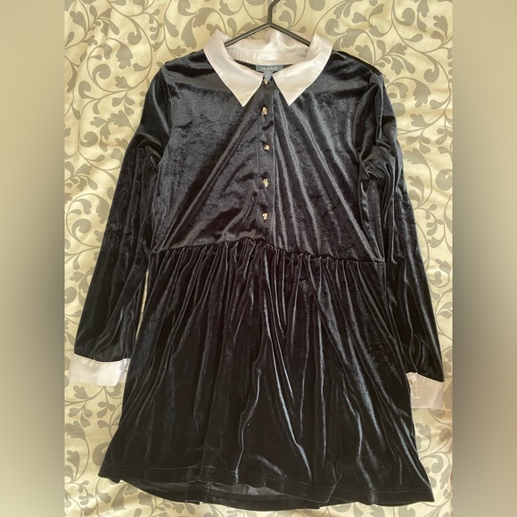 Modcloth Dresses & Skirts - Modcloth Wednesday Addams inspired black velvet dress with skull buttons (L-XL)